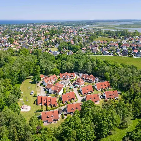 Freesenbruch 13a - Austernfischer *