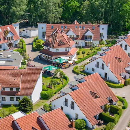 Freesenbruch 13a - Austernfischer Zingst