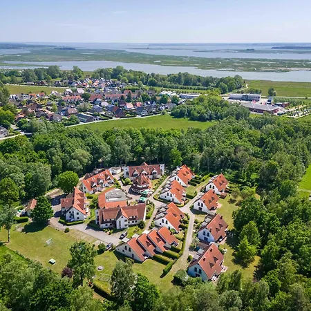 Freesenbruch 13a - Austernfischer * Zingst